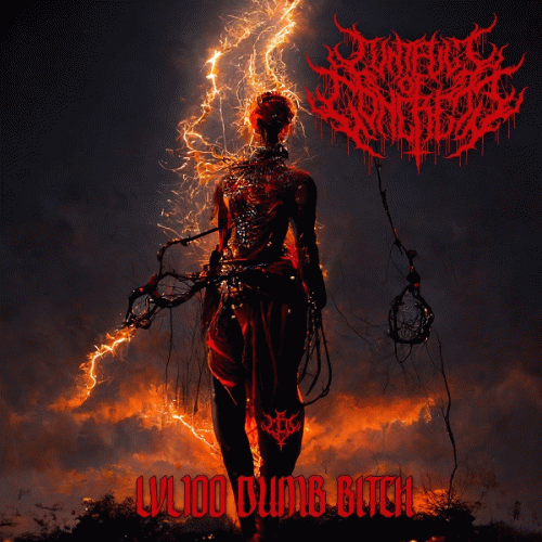 Cuntfull Of Concrete : LVL100 Dumb Bitch